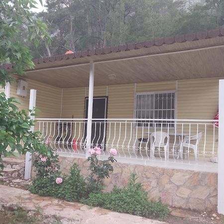 Village Garden Pansiyon Antalya Extérieur photo