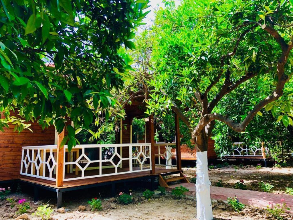 Village Garden Pansiyon Antalya Extérieur photo