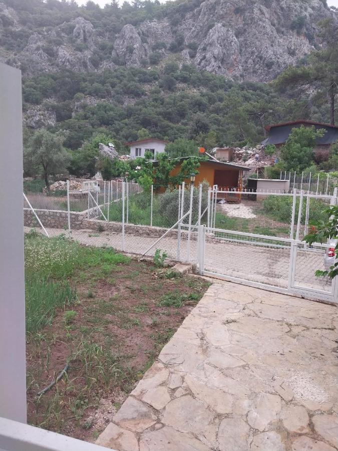 Village Garden Pansiyon Antalya Extérieur photo