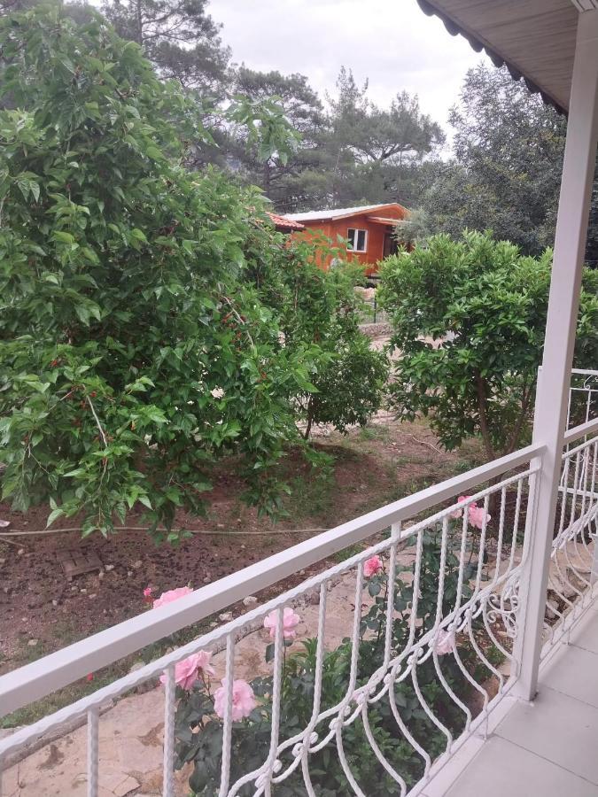 Village Garden Pansiyon Antalya Extérieur photo