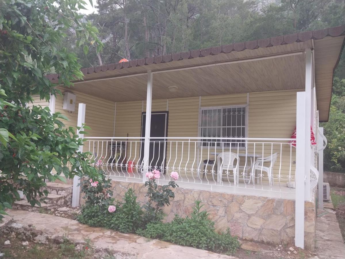 Village Garden Pansiyon Antalya Extérieur photo