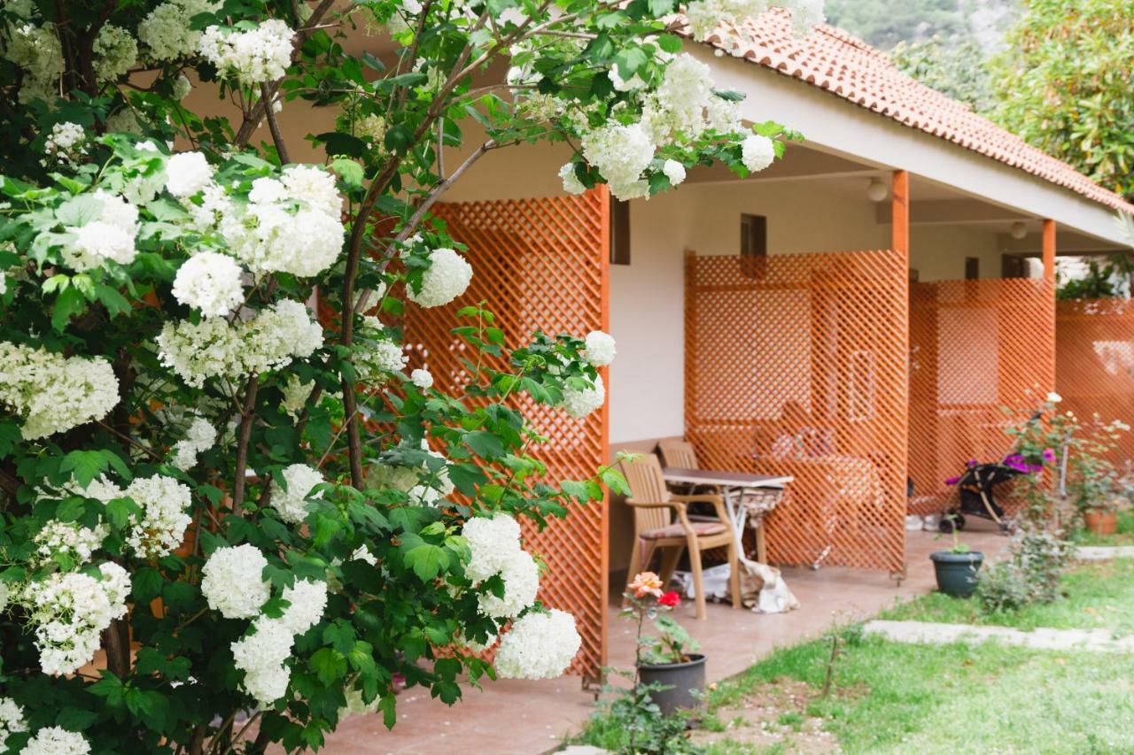 Village Garden Pansiyon Antalya Extérieur photo